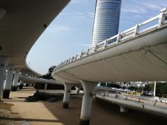 -演武大桥观景平台