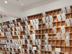 -猫的天空之城概念书店(束河店)