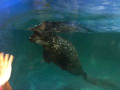 -常州海昌海洋探索馆