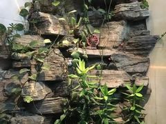 -德全心悦酒店(北京金台路地铁站店)