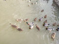 -西安浐灞国家湿地公园