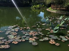 -燕郊植物园