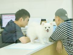 -贝利宠物医院·骨科·眼科·肿瘤转诊中心(南坪诊疗中心)