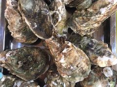 桑拿蚝-友口福(大良店)