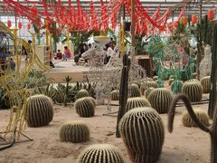 -南宫五洲植物乐园