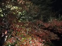 -苏堤停车场