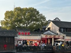 -乌镇西栅景区