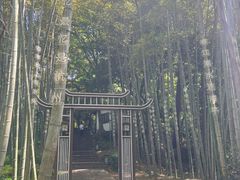 -杭州黄龙洞