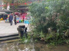 -三道苗苗鱼(三道堰老字号店)