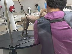 -宠颐生动物医院·小陆分院