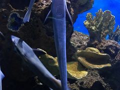 -多彩贵州城极地海洋世界