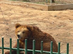 -秦皇岛野生动物园