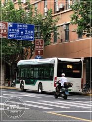 -金太子形象设计