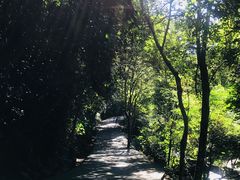-桂山风景旅游区
