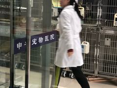 -申普宠物医院·眼科·心内科·影像科(普陀分院)