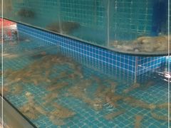 水产区-蚝门海鲜烧烤大排档(高新路店)