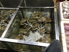 -都斛海鲜街
