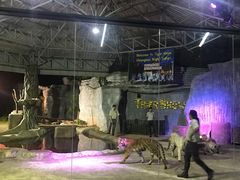 -清迈夜间动物园