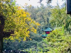 -岳麓山风景名胜区