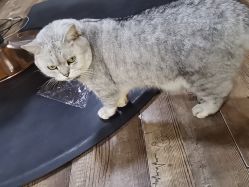 -青木造型HAIR·あおき髪を刈る潮人店