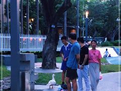 -四海公园(南山区)