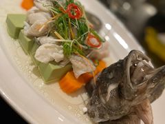 清蒸捞汁石斑鱼-铭轩中餐厅·海南菜·粤菜(亚龙湾瑞吉店)