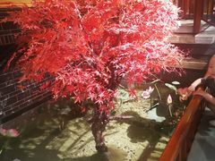 -真定郝家排骨(正定县总店)