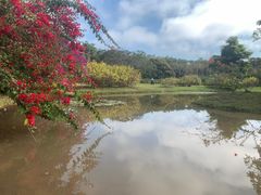-中国科学院西双版纳热带植物园