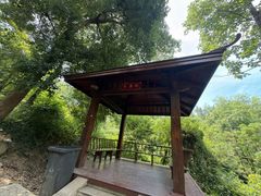 -青龙山国家森林公园