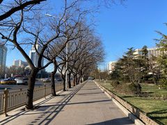 -北门涮肉·炭火铜锅涮肉(什刹海店)