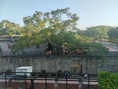 -胡里山炮台