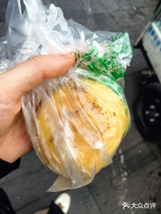 凤凰园清真馆(科巷店)牛肉煎包图片
