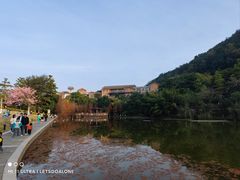 -神光山国家森林公园