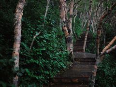 -白草畔自然风景区