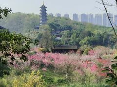 -重庆园博园