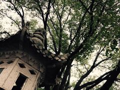 -逸桂禾面馆