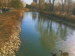 -长白岛森林公园