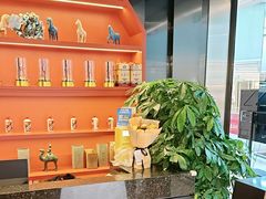 -大秦小宴•新派西北(万象前海店)