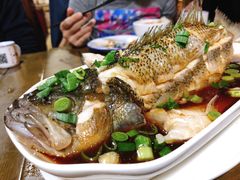 清蒸鲈鱼-沈记菜馆(酒仙桥路店)