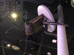 -陕西自然博物馆