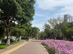 -五缘湾湿地公园
