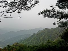 -王顺山国家森林公园