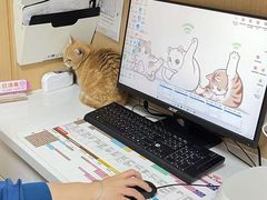 -瑞派康怡24h宠物医院·犬猫医疗中心·微创绝育(瑞景分院)