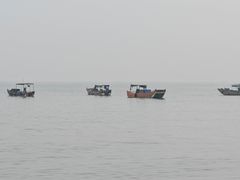 -万尾金滩