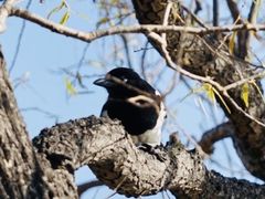 -野鸭湖国家湿地公园