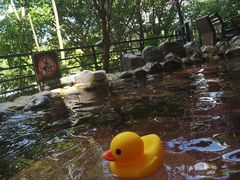 -湖泉半山温泉