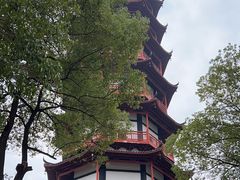 -绳金塔