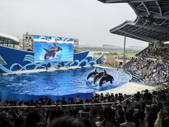 -上海海昌海洋公园