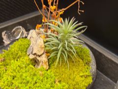 -炊江南·上海菜(国展华漕店)