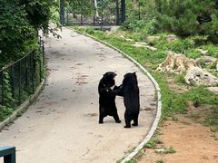 -大连森林动物园